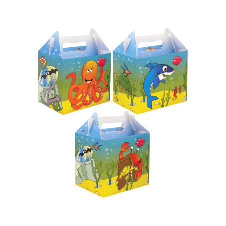 BOITE CARTON LUNCHBOX PIRATE